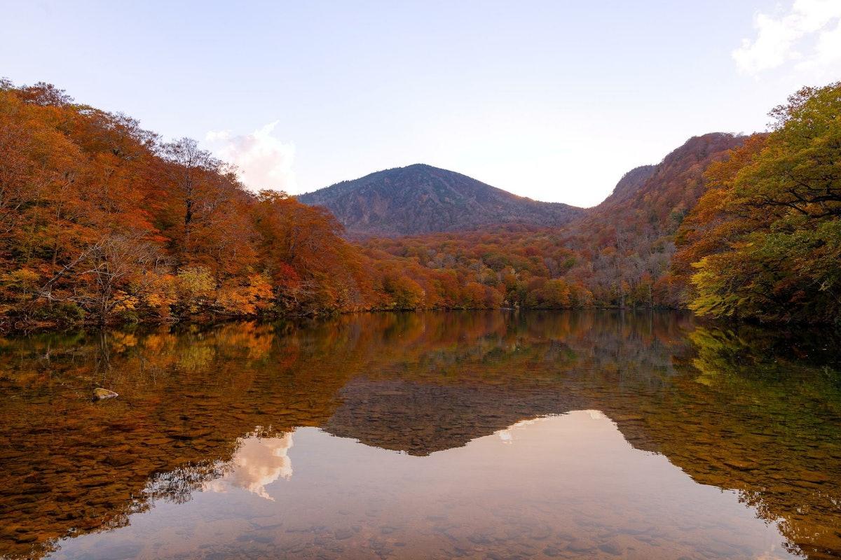 Tohoku ใบไม้แดง