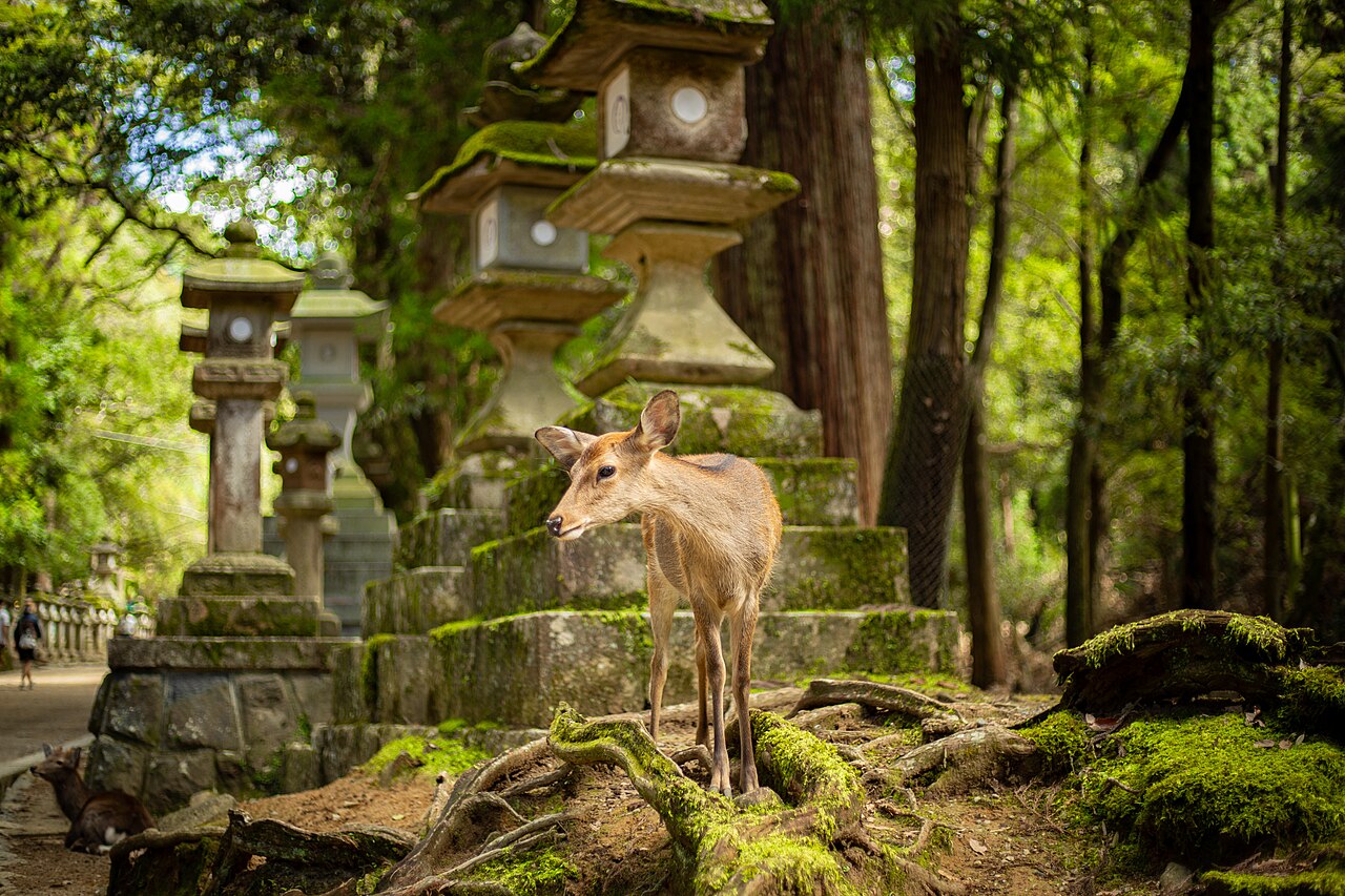 OSAKA–KYOTO–NARA