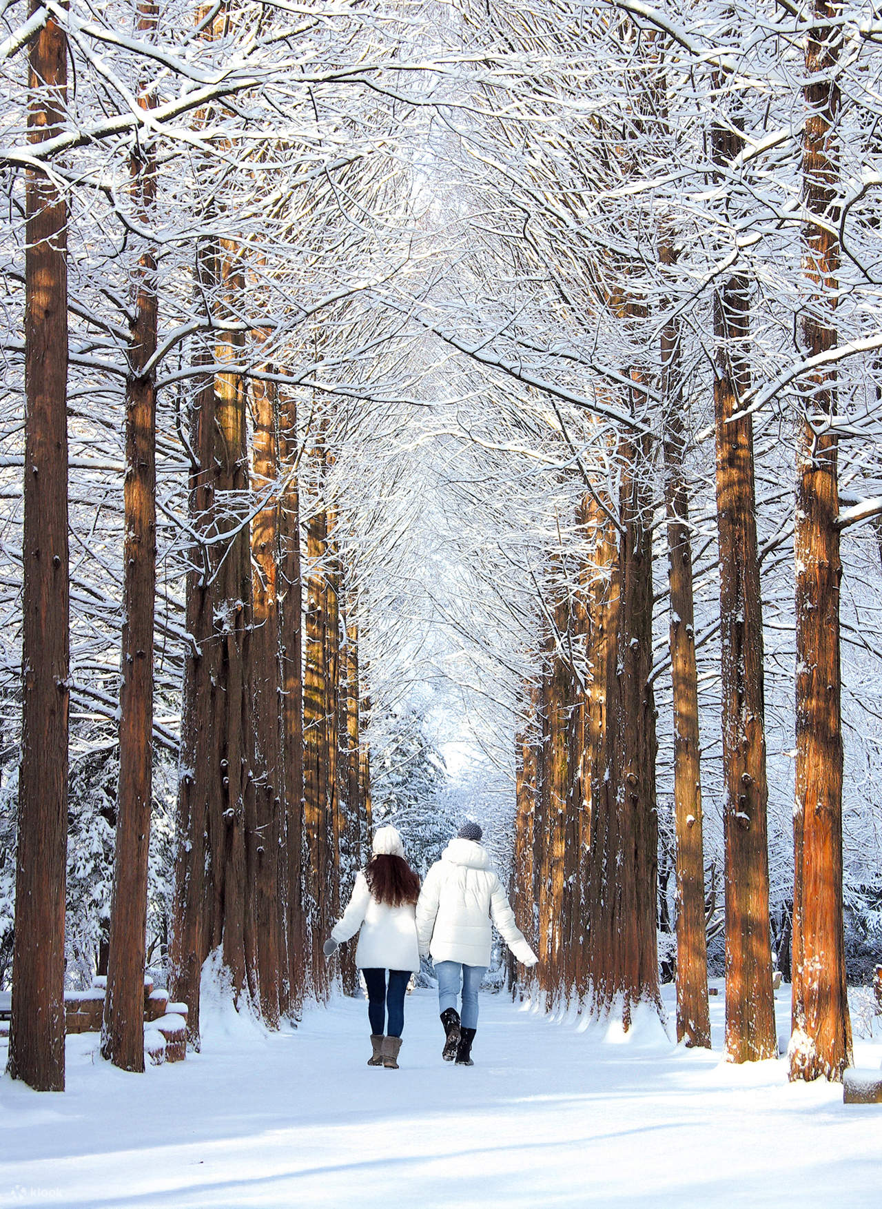 เกาะนามิหน้าหนาว เที่ยวเกาหลี Winter 2027