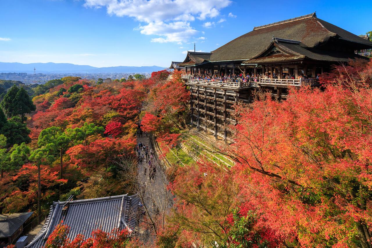 Mount Fuji – Lake Kawaguchiko Autumn