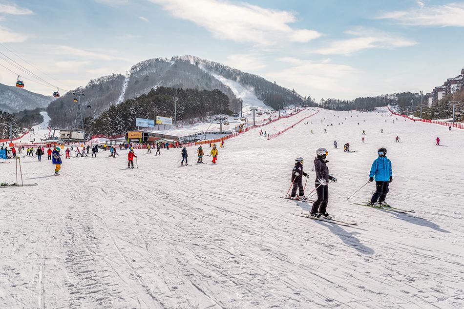 Ski Resort เกาหลี เที่ยวเกาหลีหน้าหนาว 2026 2027
