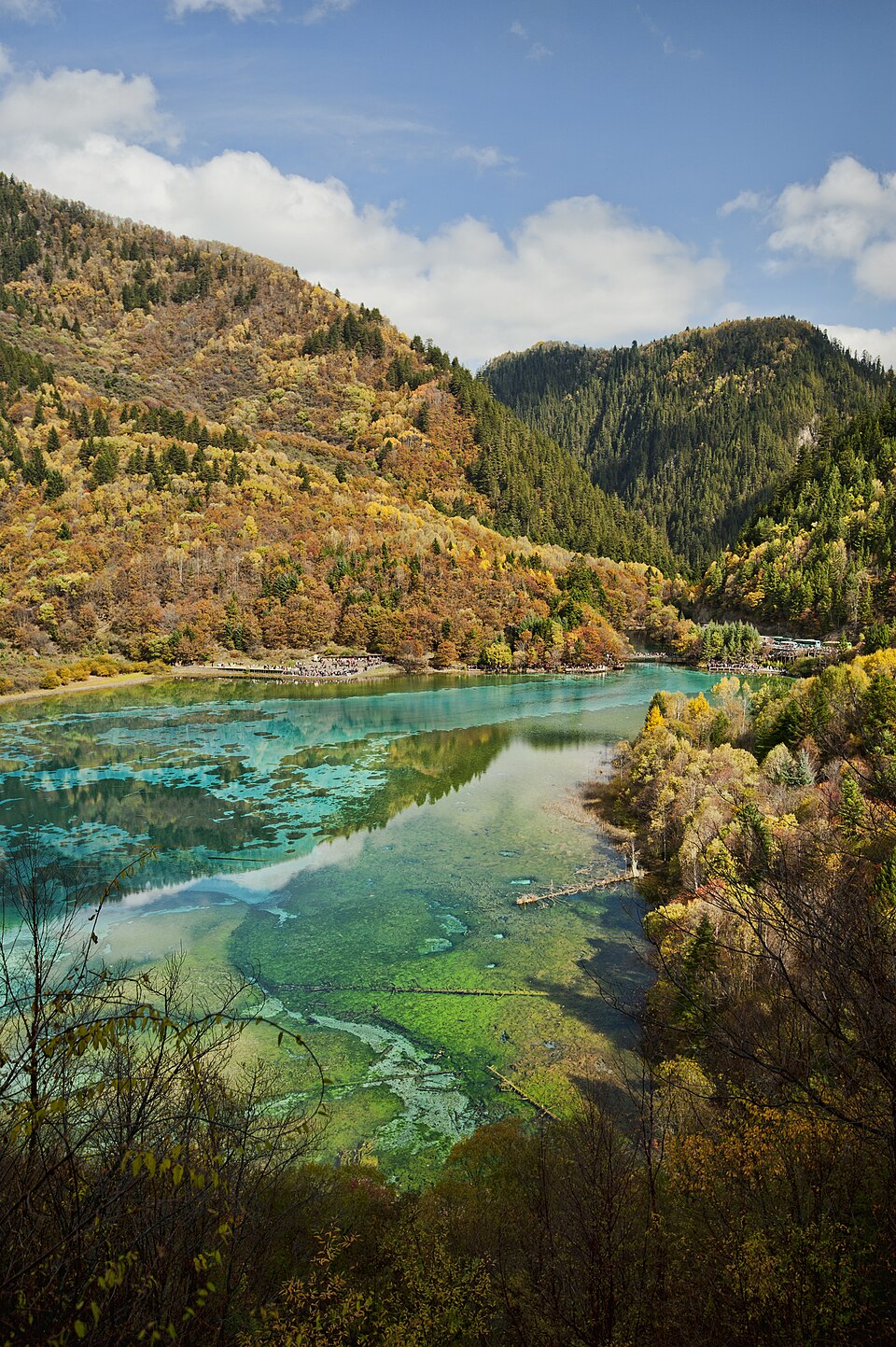 Jiuzhaigou – Five Flower Lake