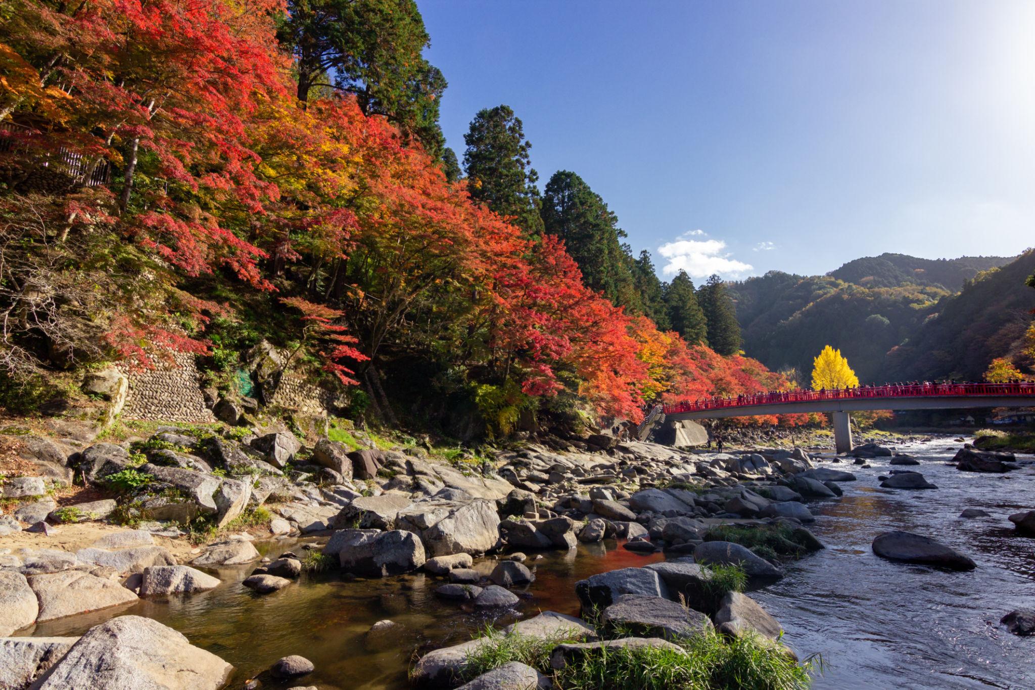 Shirakawa-go Autumn
