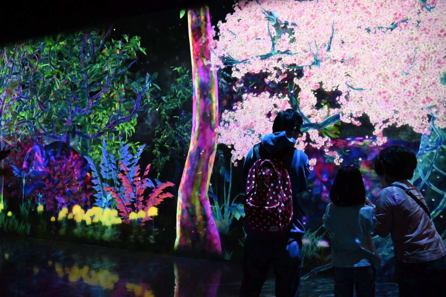 FUKUOKA–เบปปุ–ยูฟูอิน  TEAMLAB FOREST FUKUOKA–ดาไซฟุ–คินริน ช้อปเทนจิน